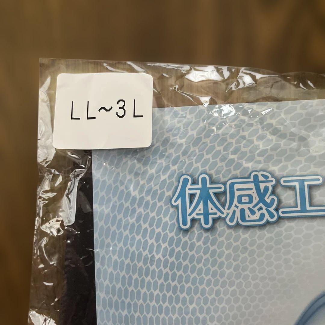 体感エアーベルト 腰用 LL〜3L レミントン