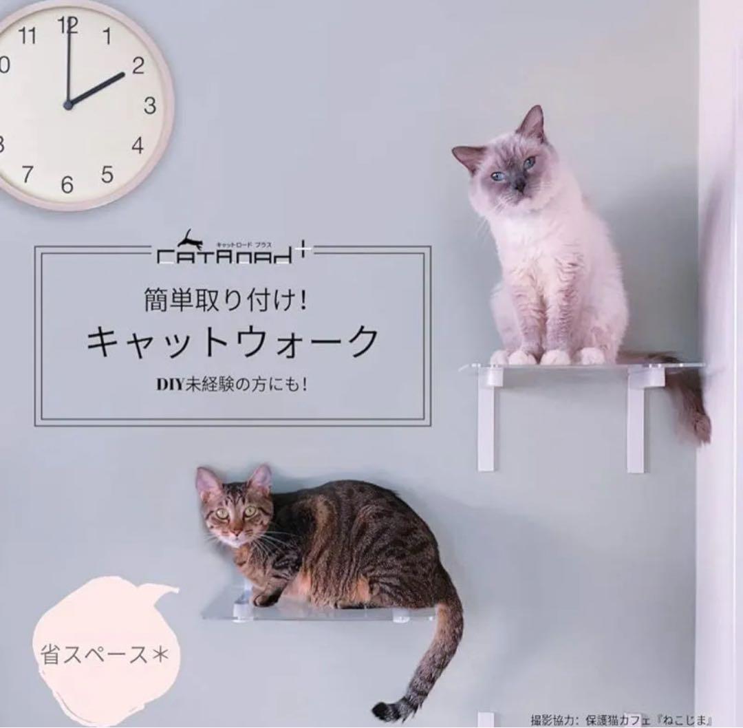 キャットステップ白【アニマコレ(animacolle)】キャットロードプラス