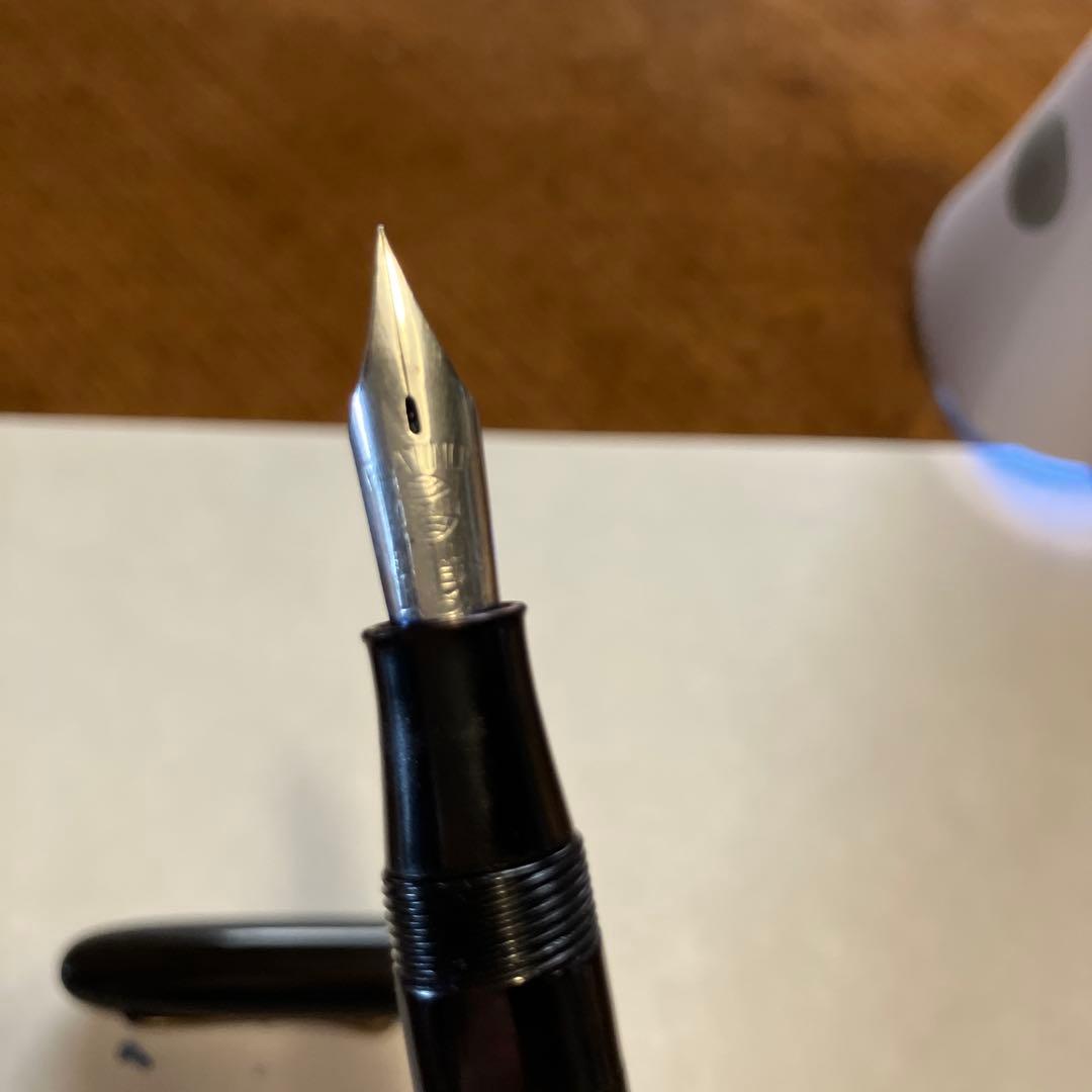 プラチナ万年筆　10YEARS PEN インク止め式