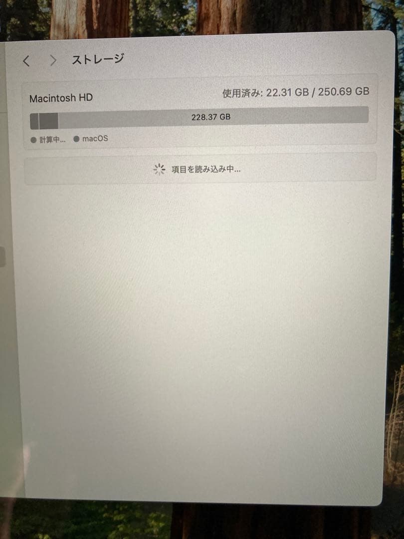 【美品】MacBook Air 2020 corei3 8GB/256GB