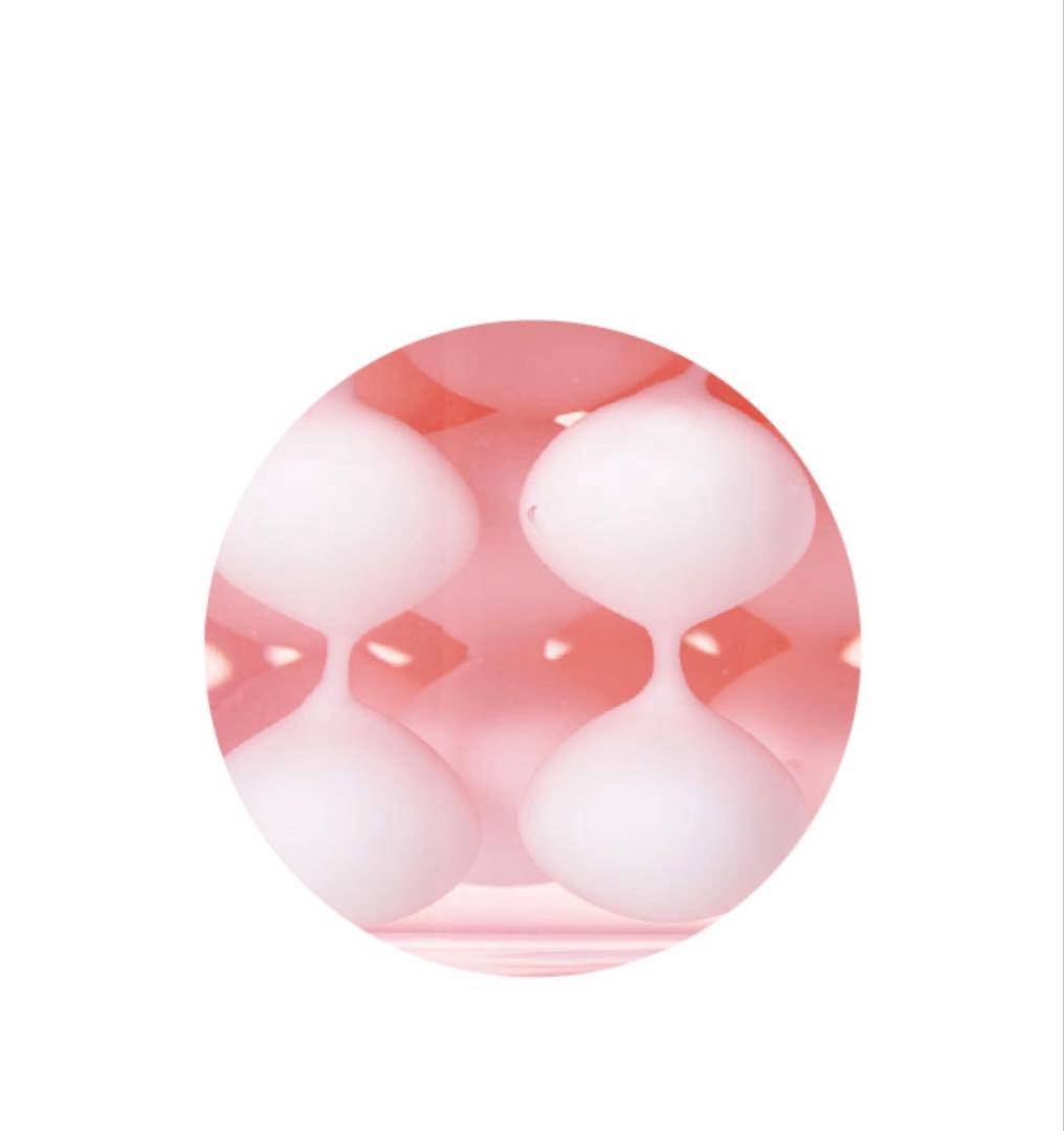 美容液 DDS PSC 100 Stem Capsule