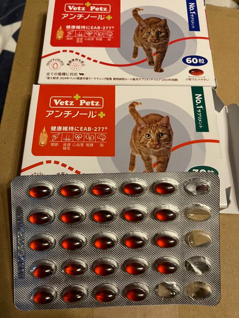 アンチノール　84粒