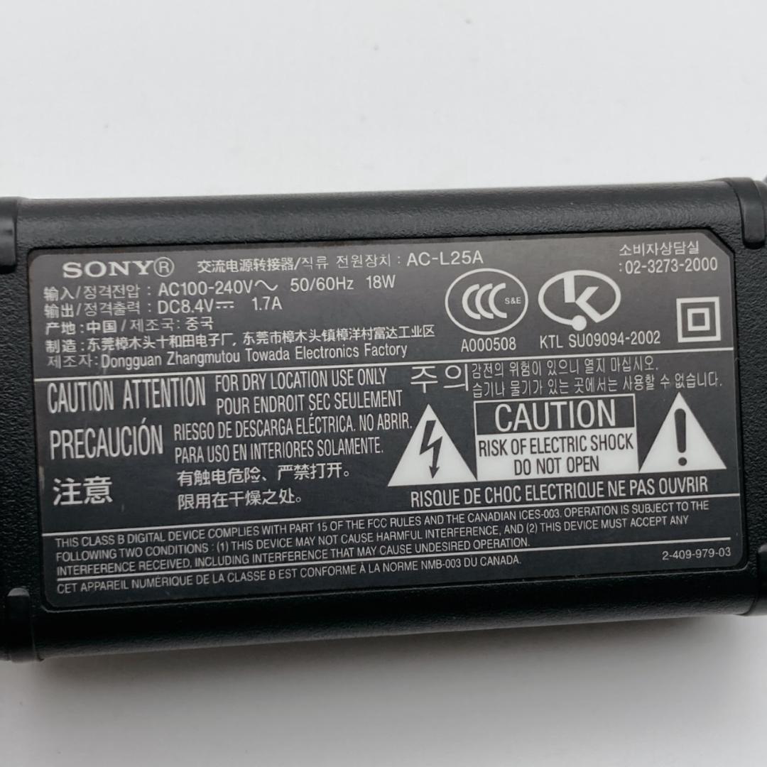 【美品】SONYソニー Handycam デジタルビデオカメラ DCR-SR60