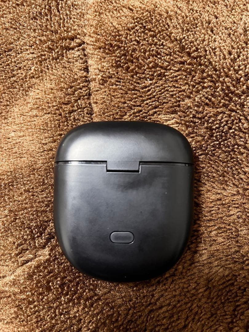 Bose QuietComfort ultra Earbuds 充電器＋左耳