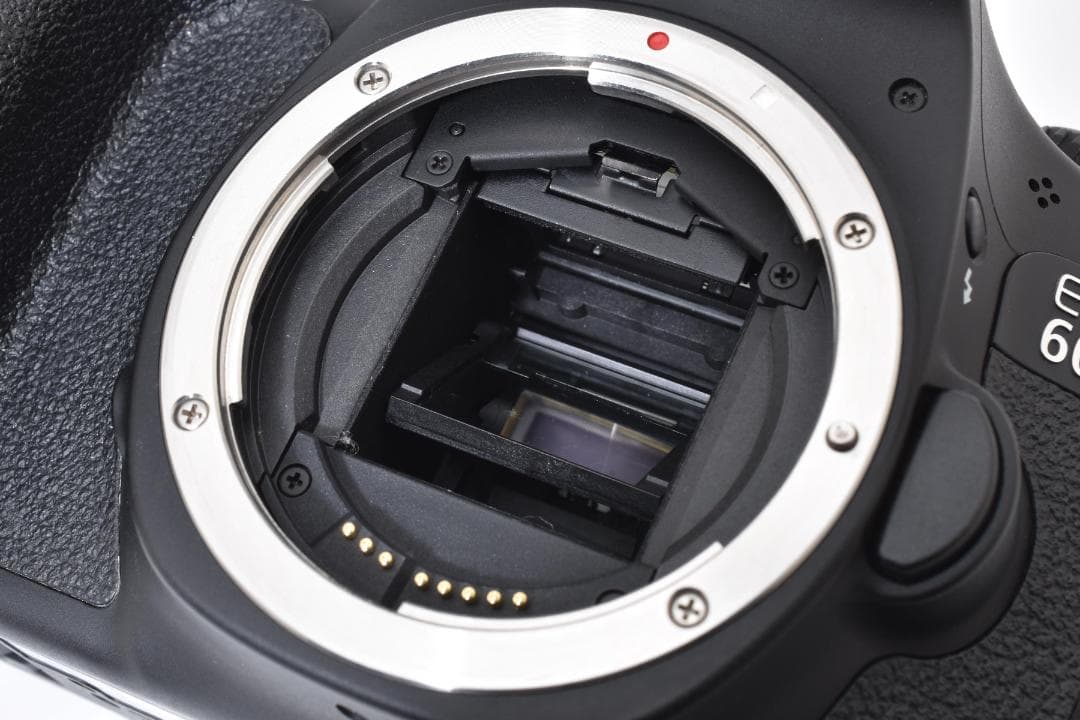 Canon EOS 60D 一眼レフカメラ #2961