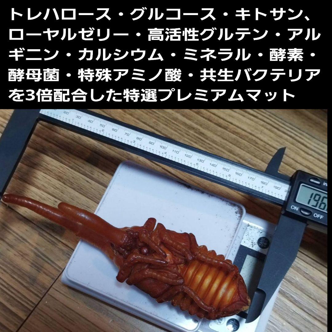 カブトムシ幼虫が巨大化！プレミアム3次発酵マット【200リットル】産卵にも抜群！