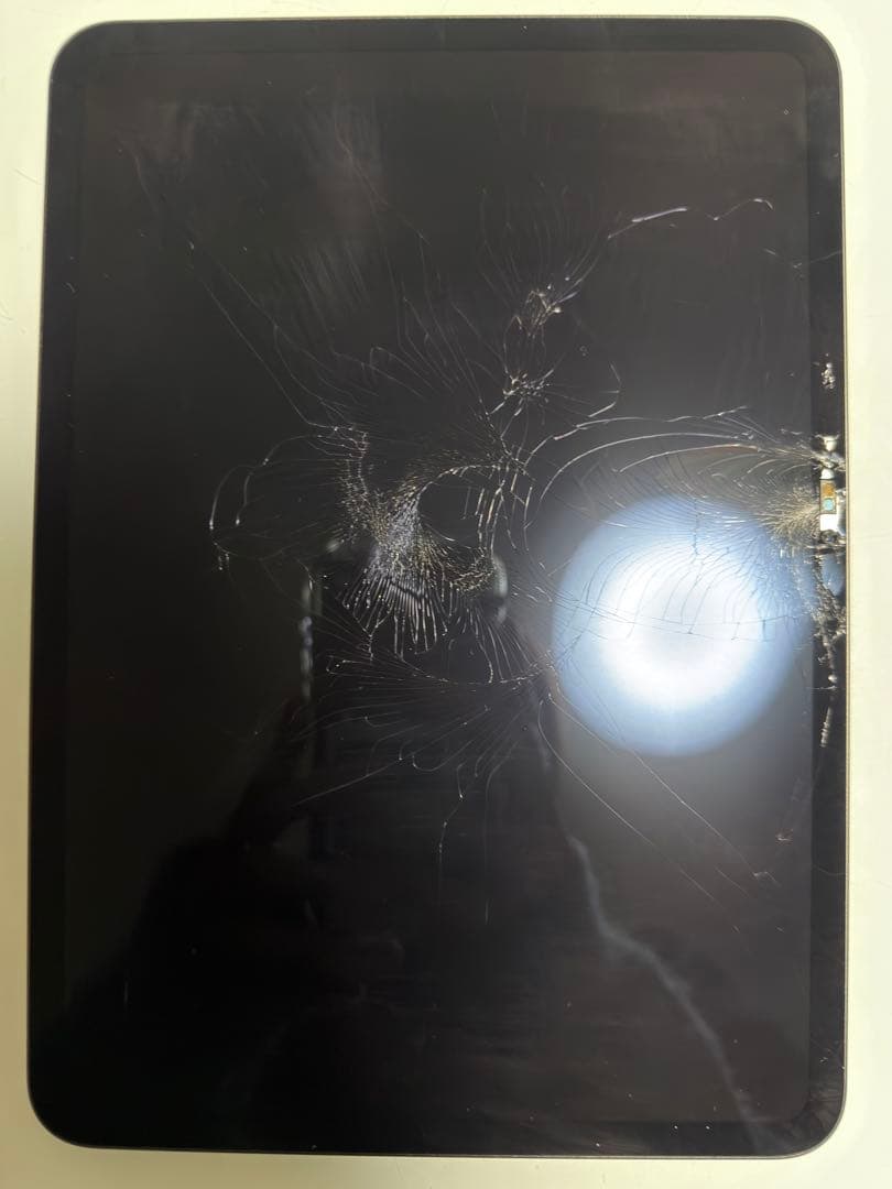 【ジャンク品】 iPadProM4 11インチ 256GB Wi-Fiモデル