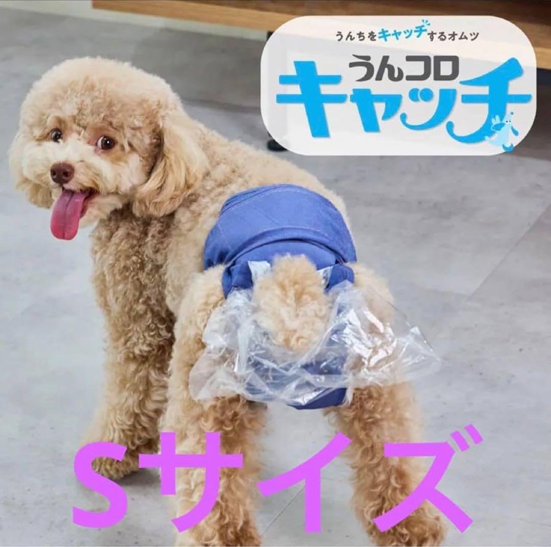 2点セット！うんコロキャッチ （S）新品＋美品（1回試着）★尿とりパッド1枚付