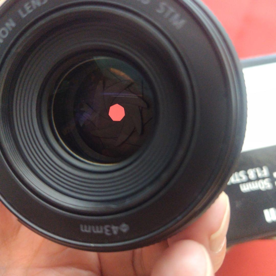 美品 Canon RF 50mm F1.8 STM 単焦点レンズ