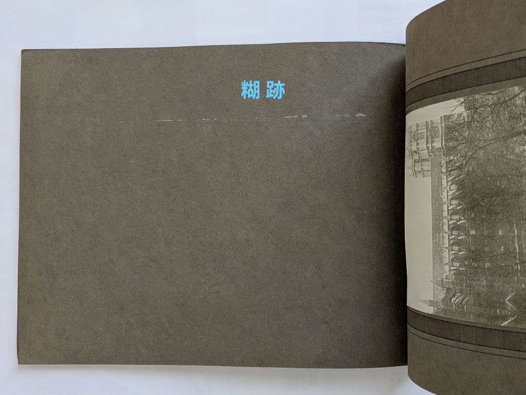London in Gala Dress 第一次世界大戦勝利行進記念写真集