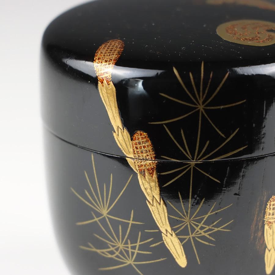 Y2888-8 茶道具 山上幸舟 金蒔絵「蕨に土筆」中棗 共箱　　＃13