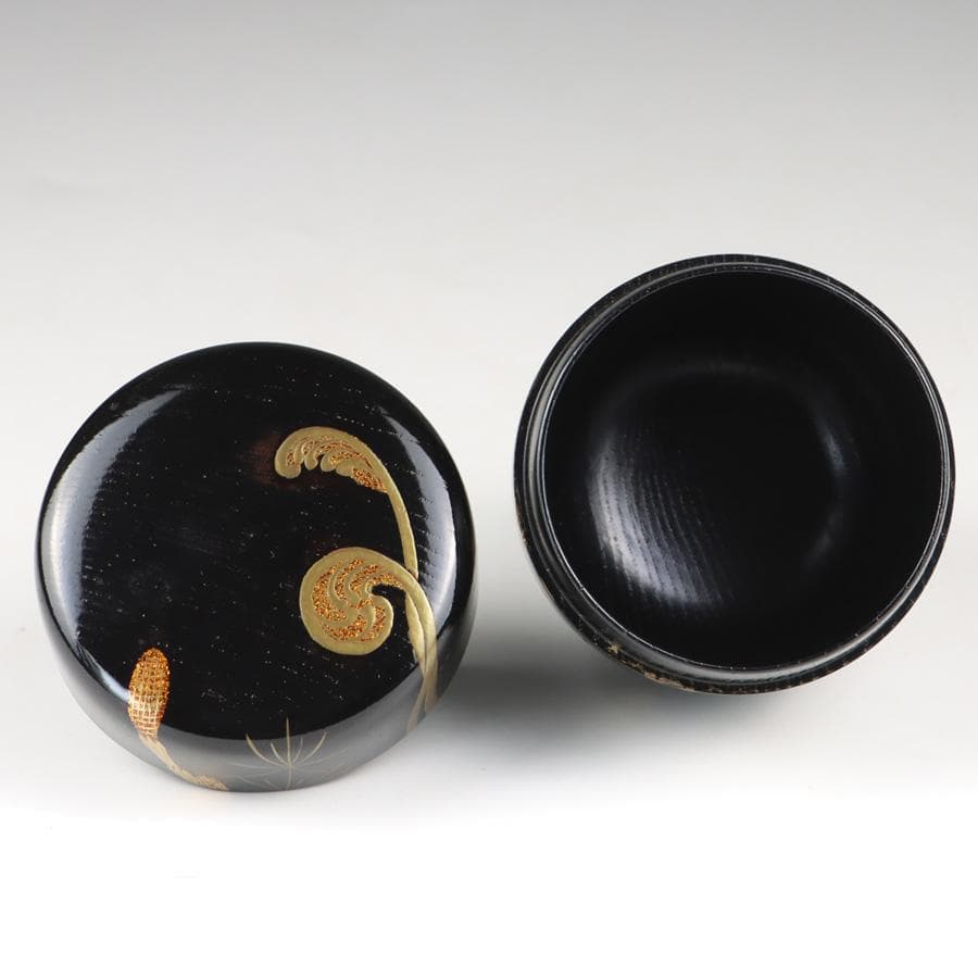 Y2888-8 茶道具 山上幸舟 金蒔絵「蕨に土筆」中棗 共箱　　＃13