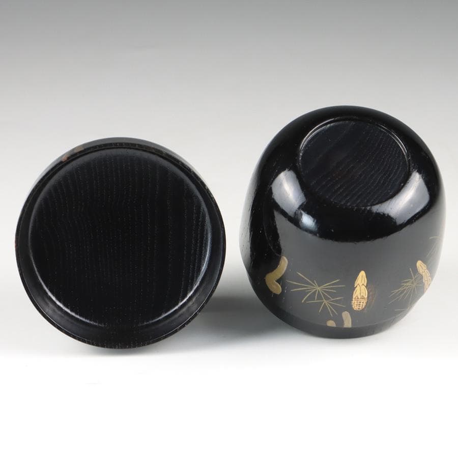 Y2888-8 茶道具 山上幸舟 金蒔絵「蕨に土筆」中棗 共箱　　＃13