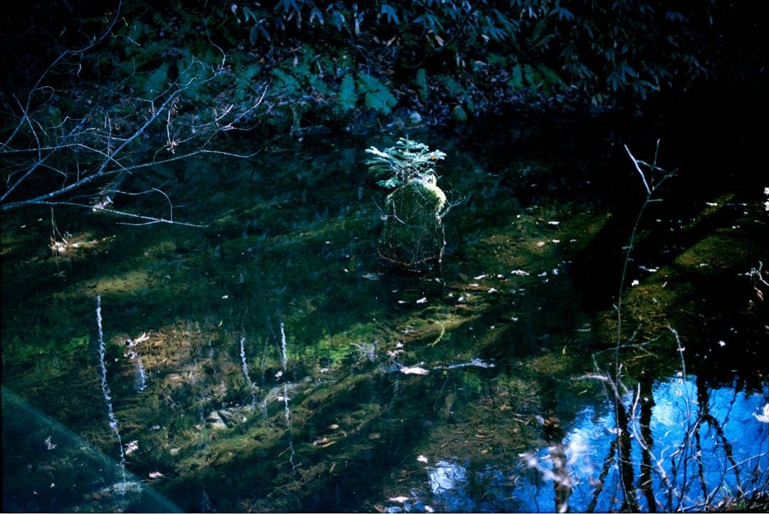 後期型CONTAX T3 Dayback チタンシルバー　作例付き