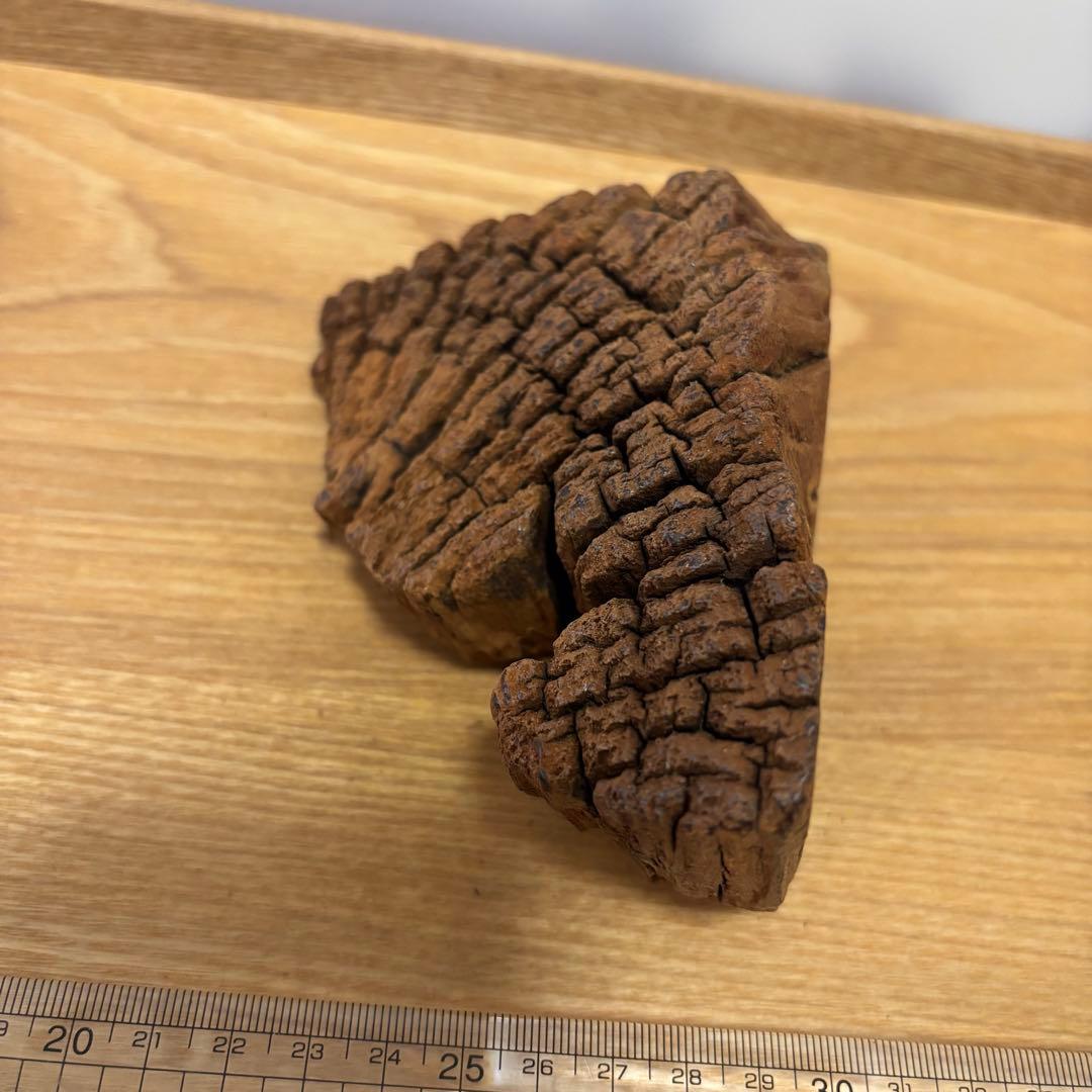 古代天然香木　沈香原木326.8g 茶道具タニシャム沈香伽羅聞香 香道具ベトナム