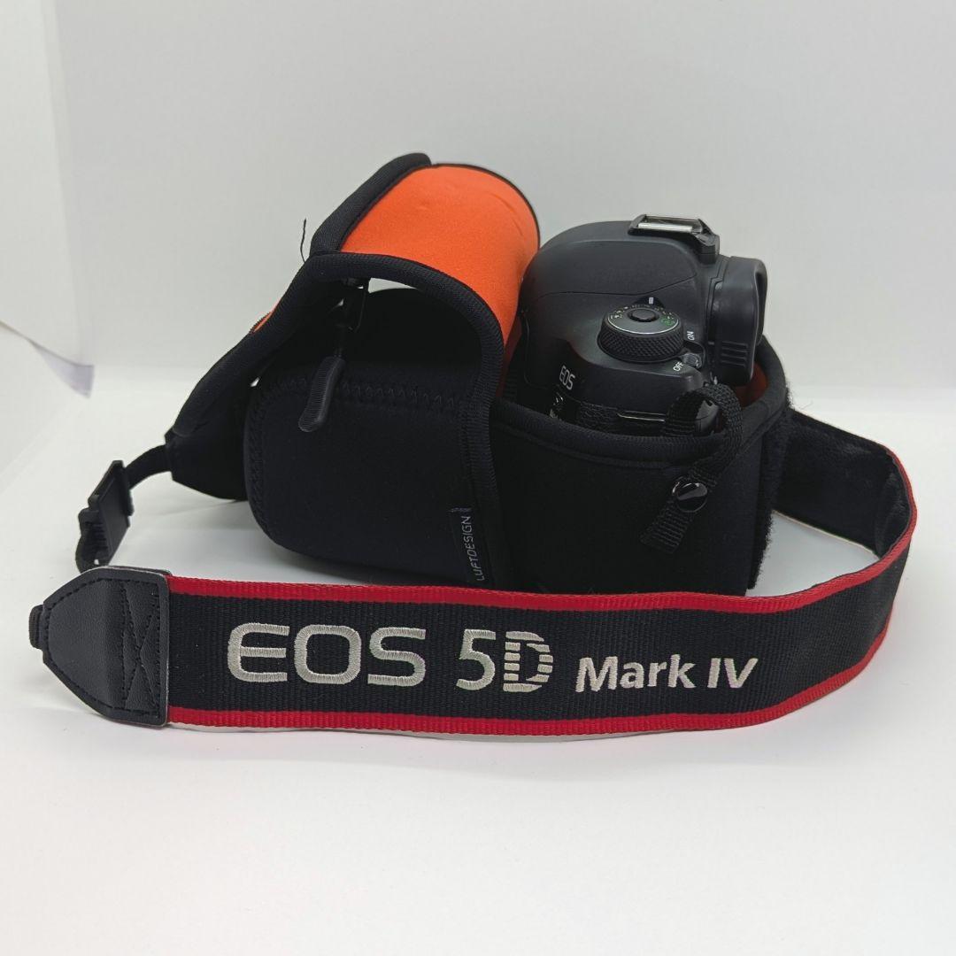 5D Mark IV + バッテリー + カード + 充電器