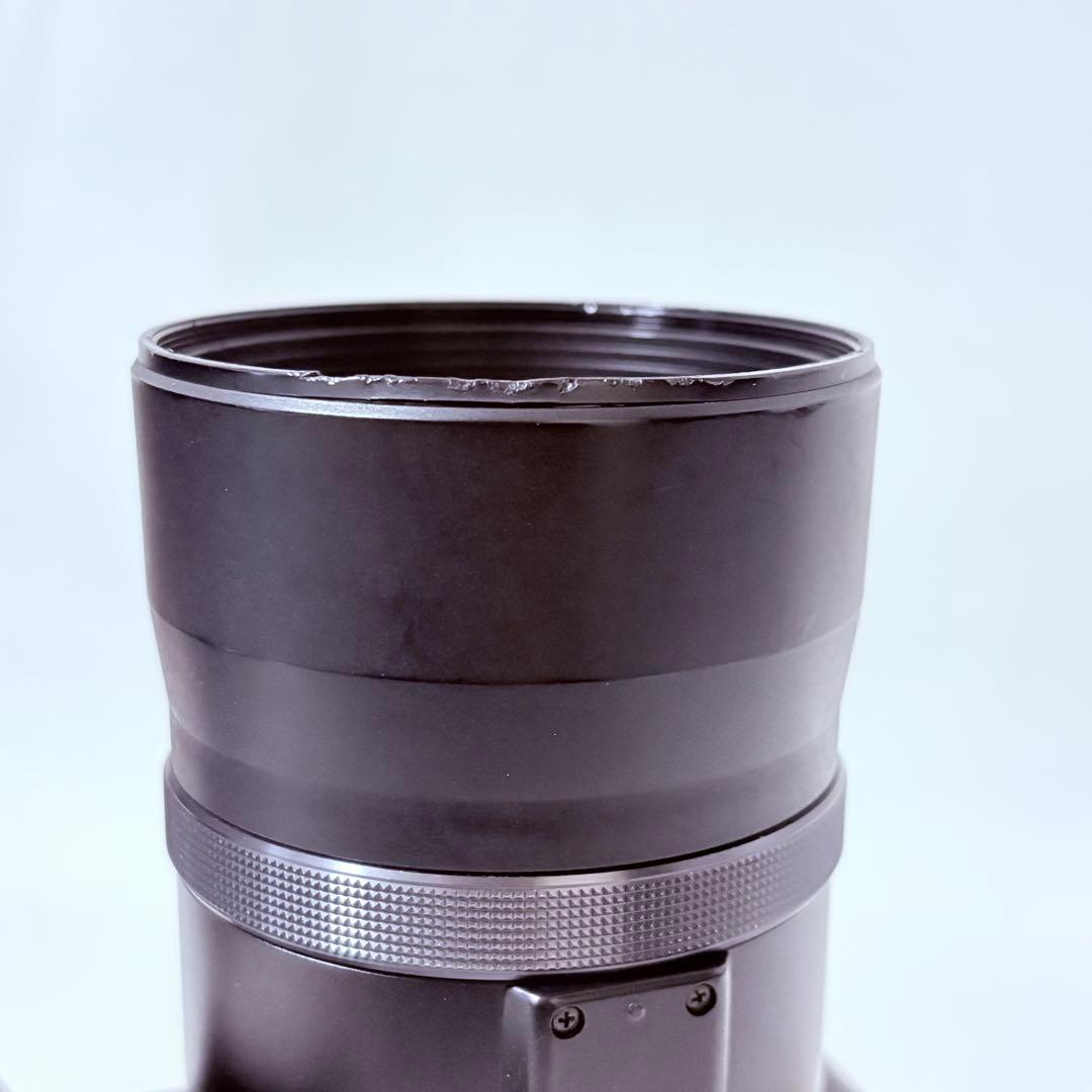 【動作確認済】 Panasonic LUMIX DMC-FZ10 バッテリー付