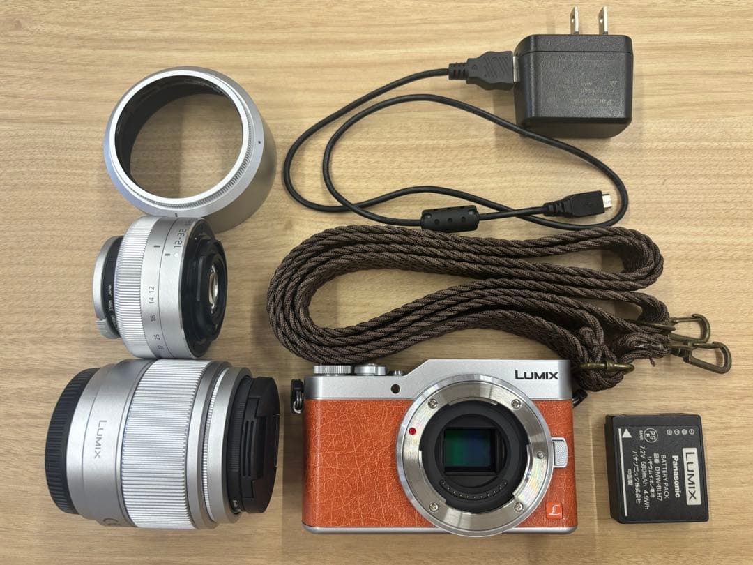 デジタルカメラ Panasonic LUMIX DC-GF9W