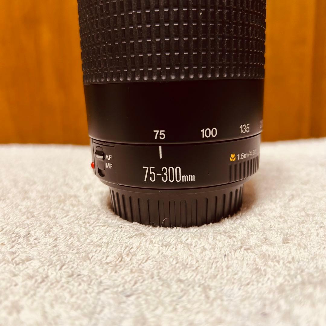 Canon EF 75-300mm 4-5.6 II USM 超望遠レンズ