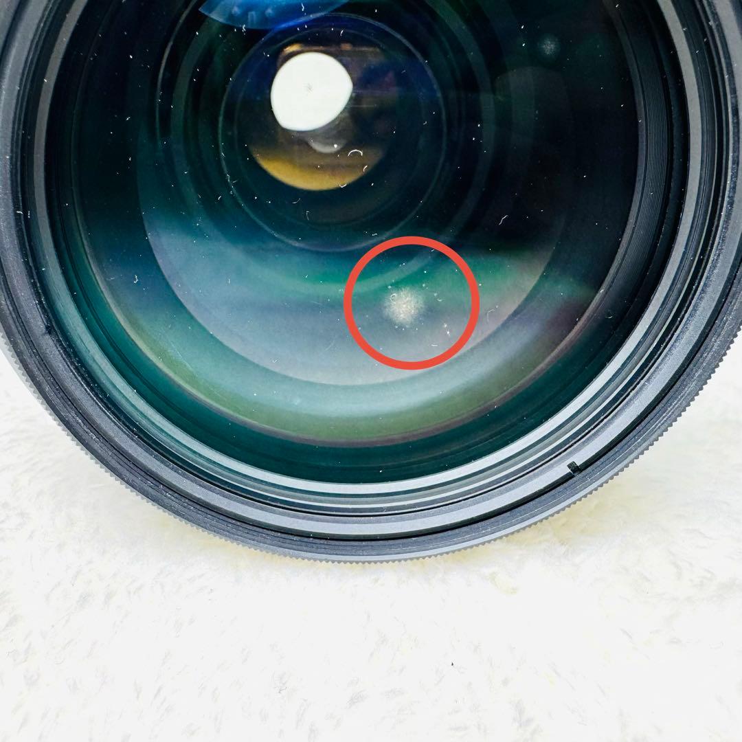 Canon用 SIGMA APO 170-500mm F5-6.3 一眼レフ