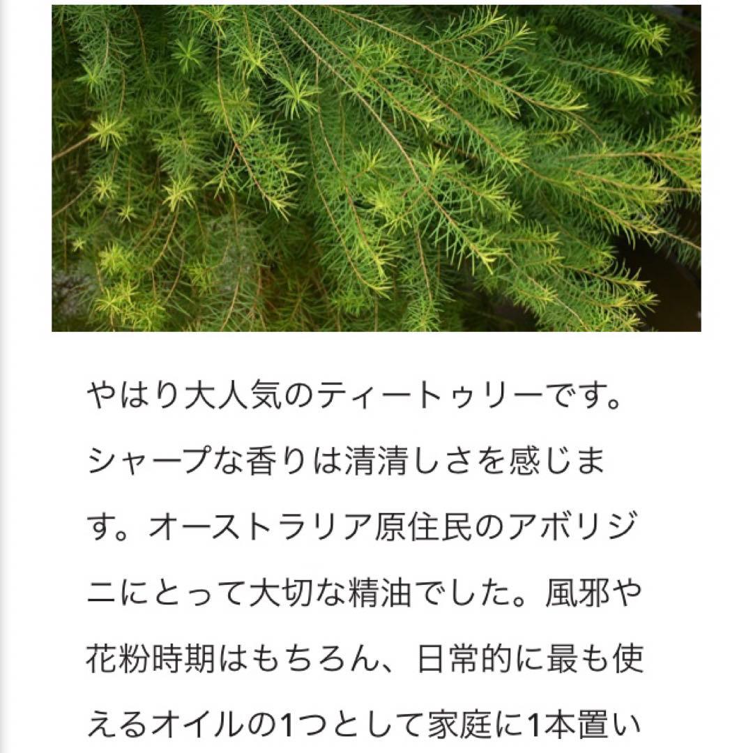 エッセンシャルオイル　ティートゥリー