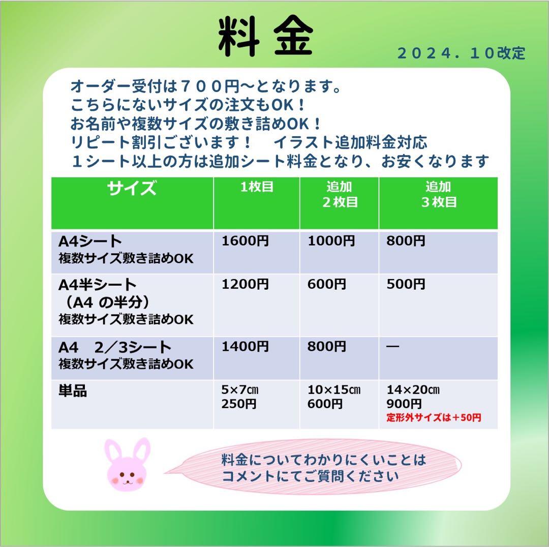 CCさま専用 おなまえゼッケン アイロン接着 №