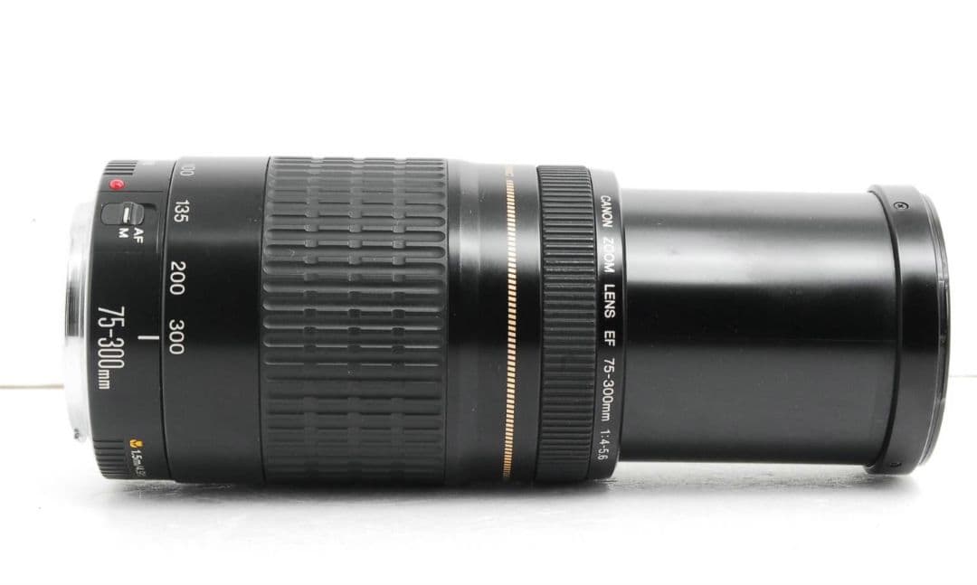 Canon EF 75-300mm F4-5.6 USM⭐️超望遠レンズ