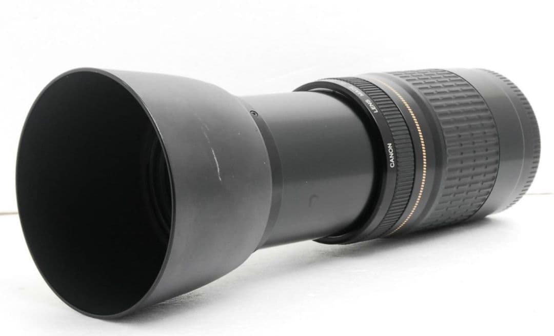 Canon EF 75-300mm F4-5.6 USM⭐️超望遠レンズ