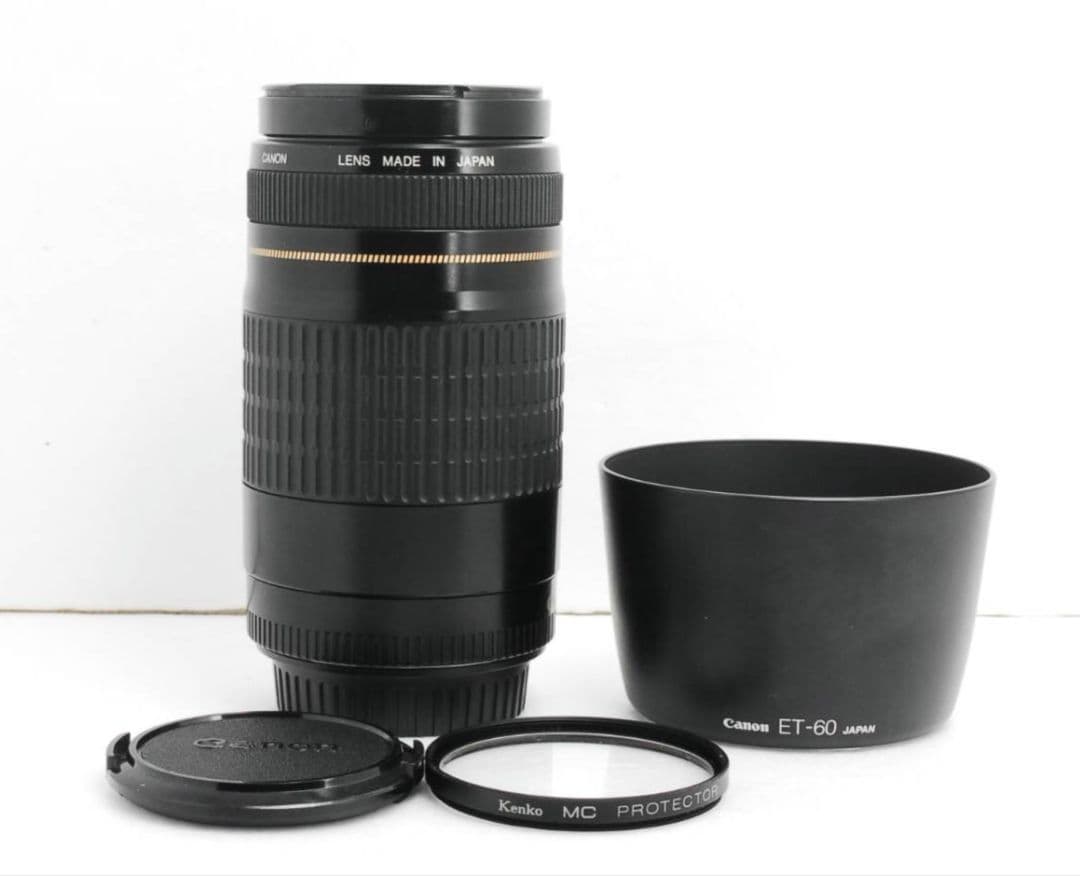 Canon EF 75-300mm F4-5.6 USM⭐️超望遠レンズ