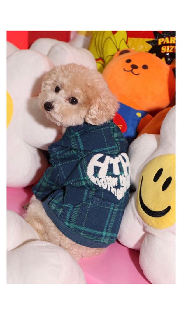 wiggle wiggle HTH コラボ　完売商品　M 犬用パーカー　ペット服
