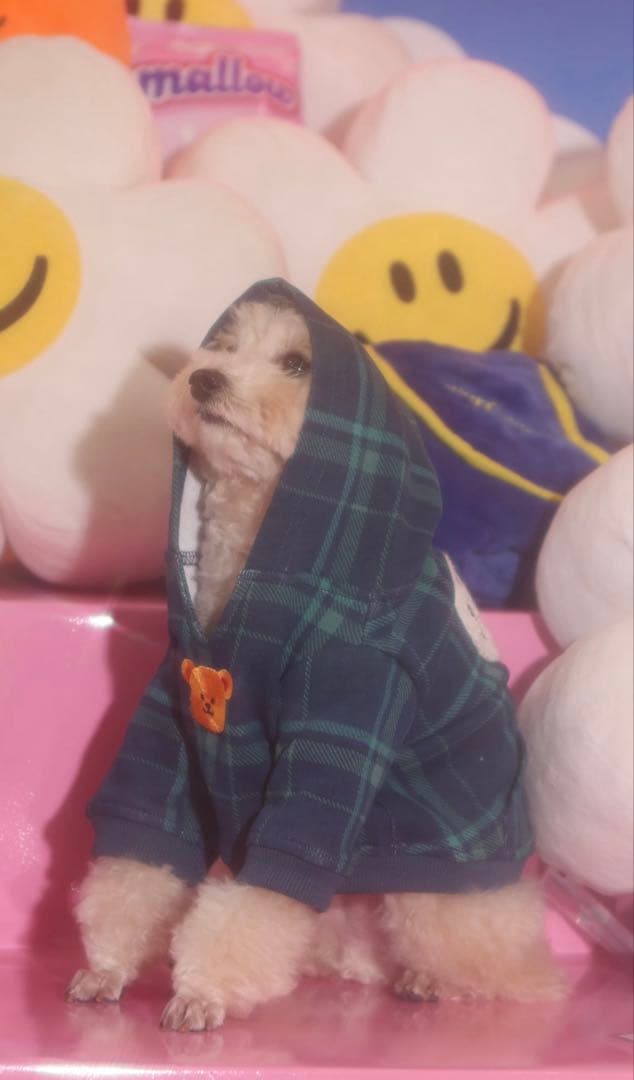 wiggle wiggle HTH コラボ　完売商品　M 犬用パーカー　ペット服
