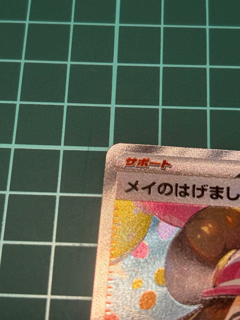 メイの励まし SARマグネットローダー付き