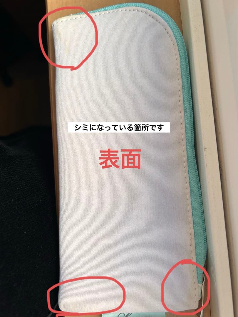 モイスティーヌ ラミノスキンコンディショナー 美顔器