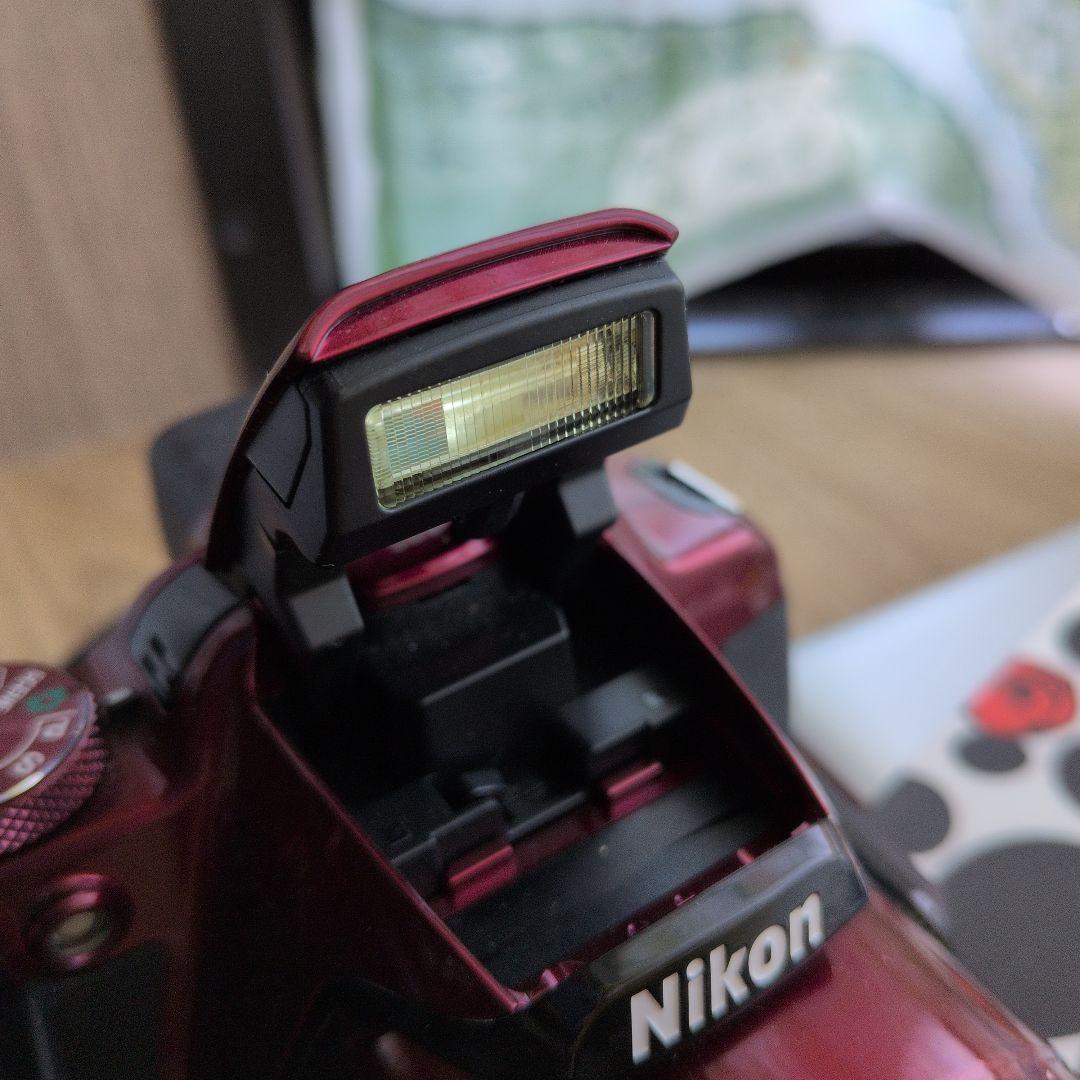 Nikon COOLPIX P520　小破損