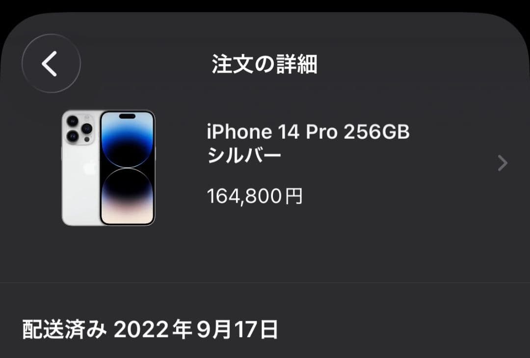 iPhone 14 Pro 256GB SIMフリー シルバー 本体のみ