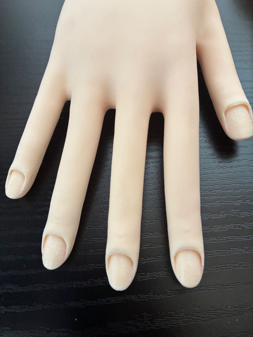 認定モデルハンド　骨折なし　ST MODEL HAND おまけ付き
