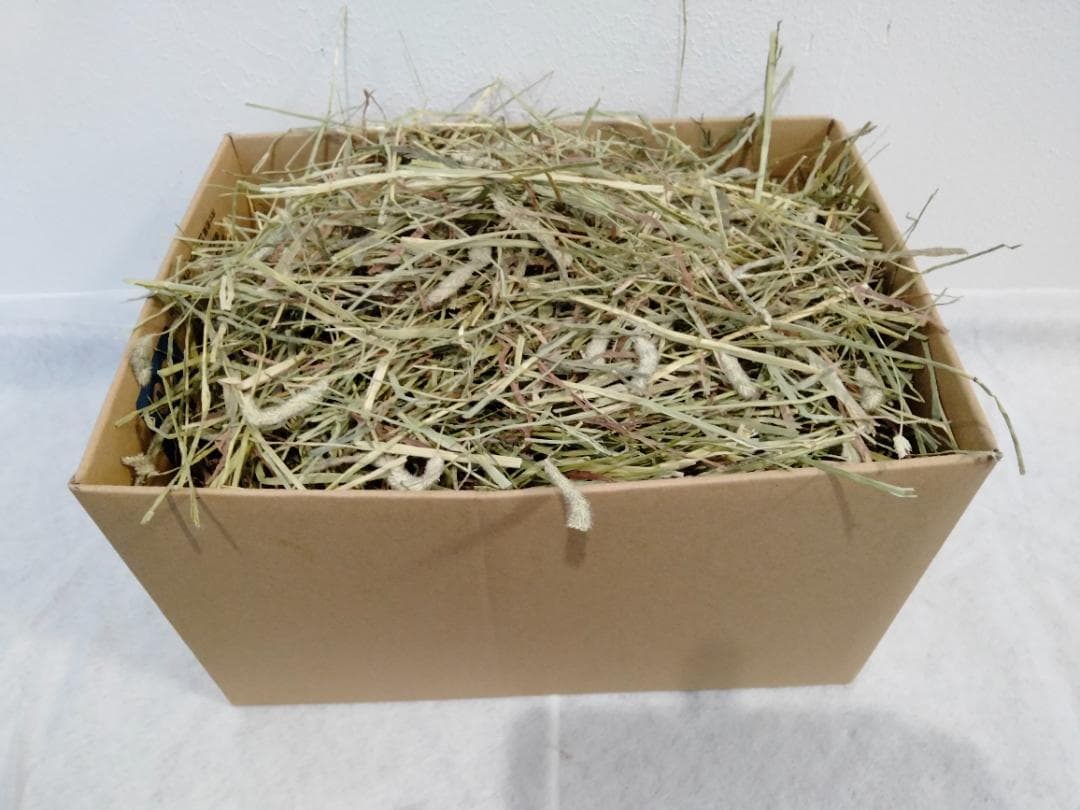 【12/30まで】 カナダ産 チモシー 50kg スーパープレミアム １番刈り