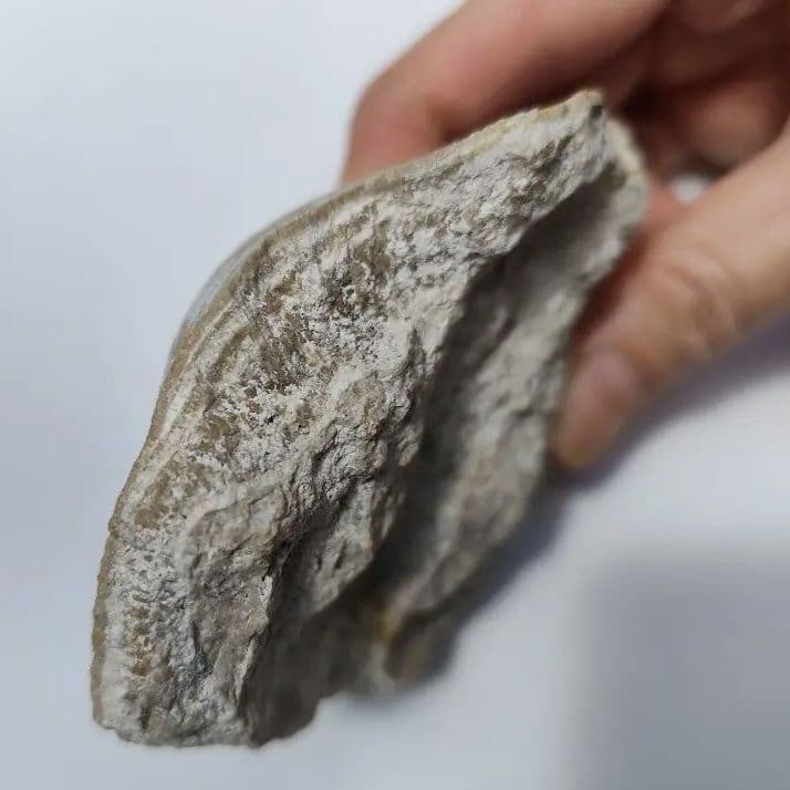 玉川温泉 北投石 ラジウム hokutolite ラドン ホルミシス約390g