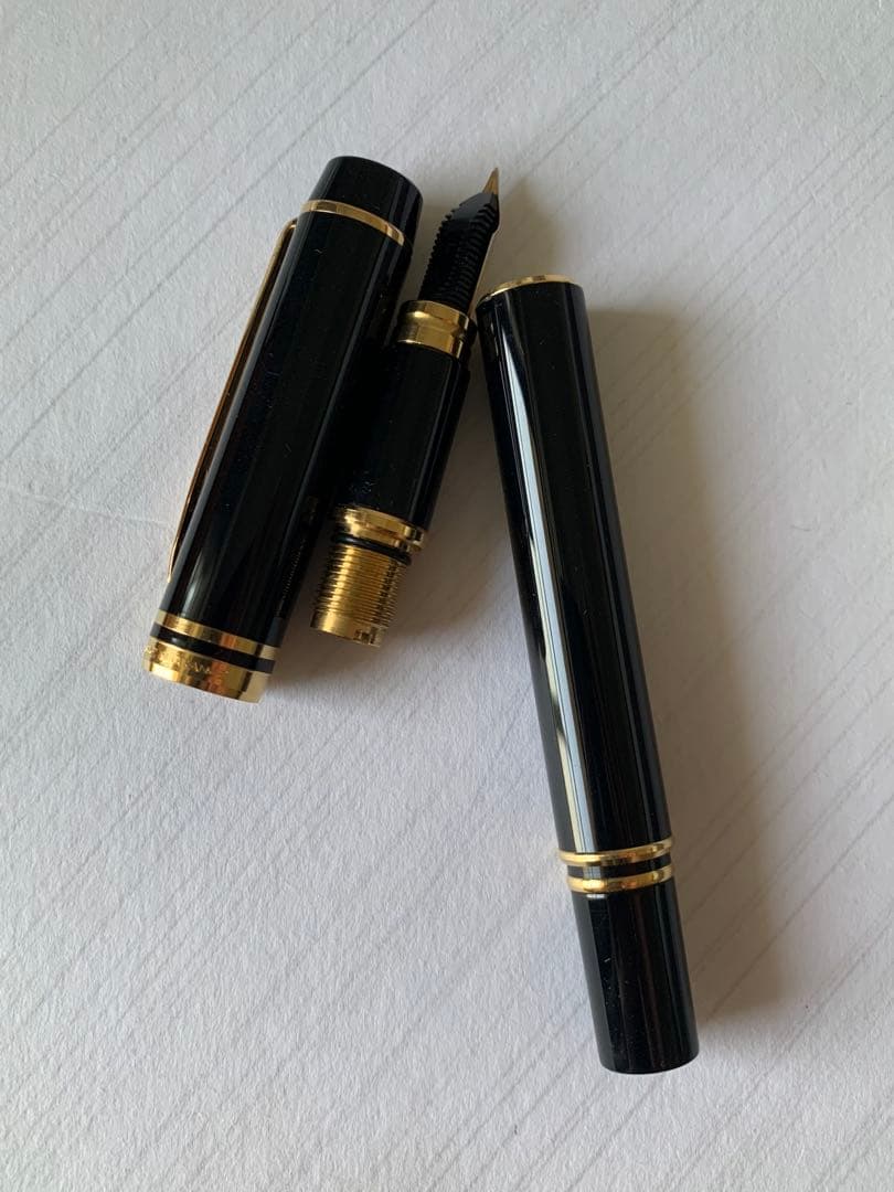 WATERMAN ウォーターマン MAN100 万年筆