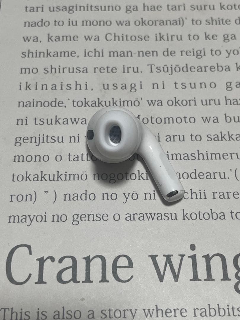 ⑩ 123456 Apple社純正品 AirPods Pro 第2世代 左耳のみ
