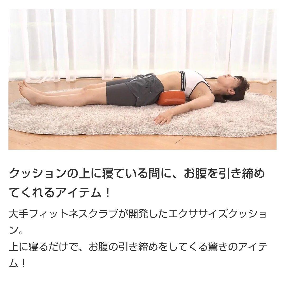 スタイリークッション