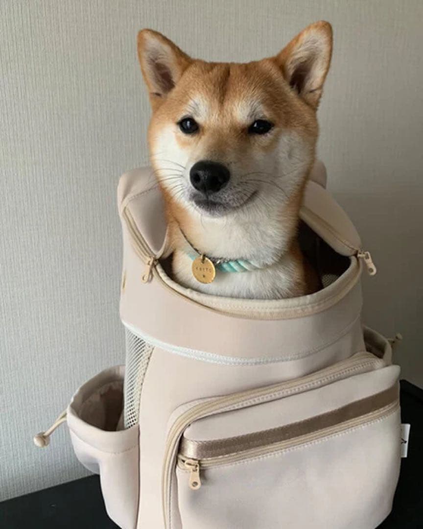 シティードック新品⭐️ネオプレーンバックパックキャリーペットリュック犬猫お出かけ