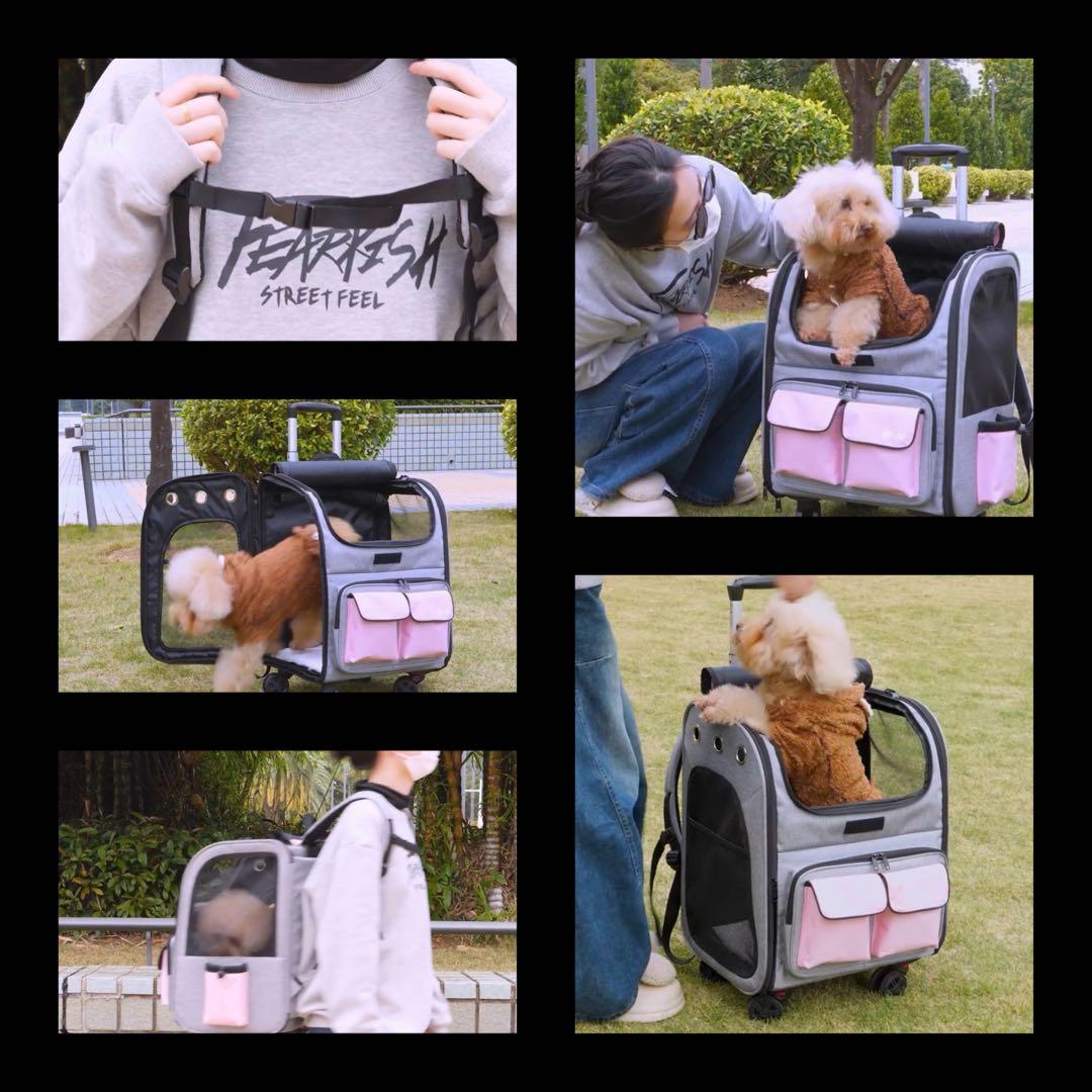 小型犬用 猫用 ペットキャリー リュック バッグ 3WAY 折りたたみ