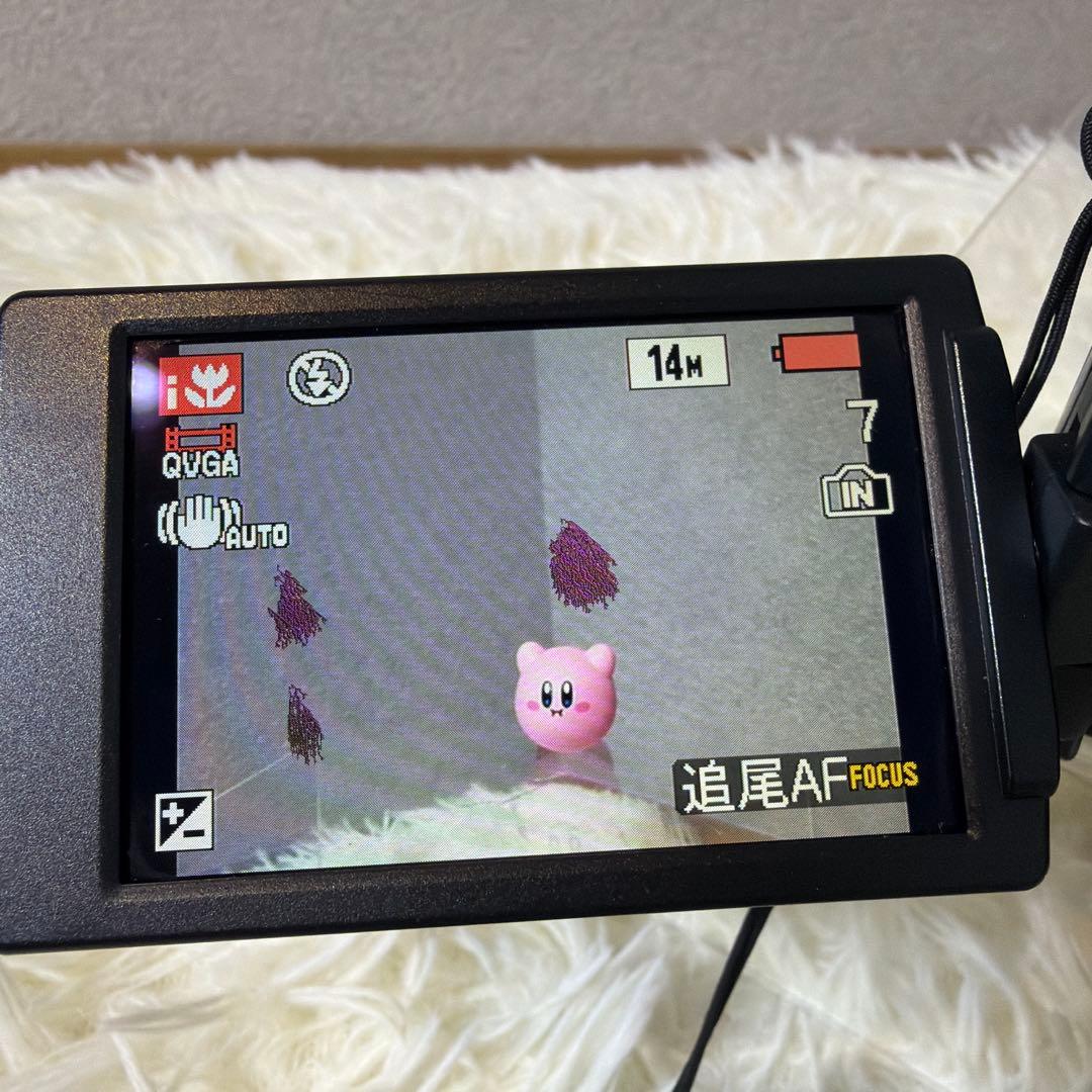 【付属品完品】Panasonic LUMIX DMC-FZ100
