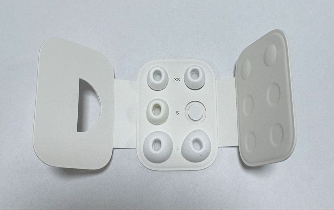 Apple AirPods Pro2 第2世代 タイプC