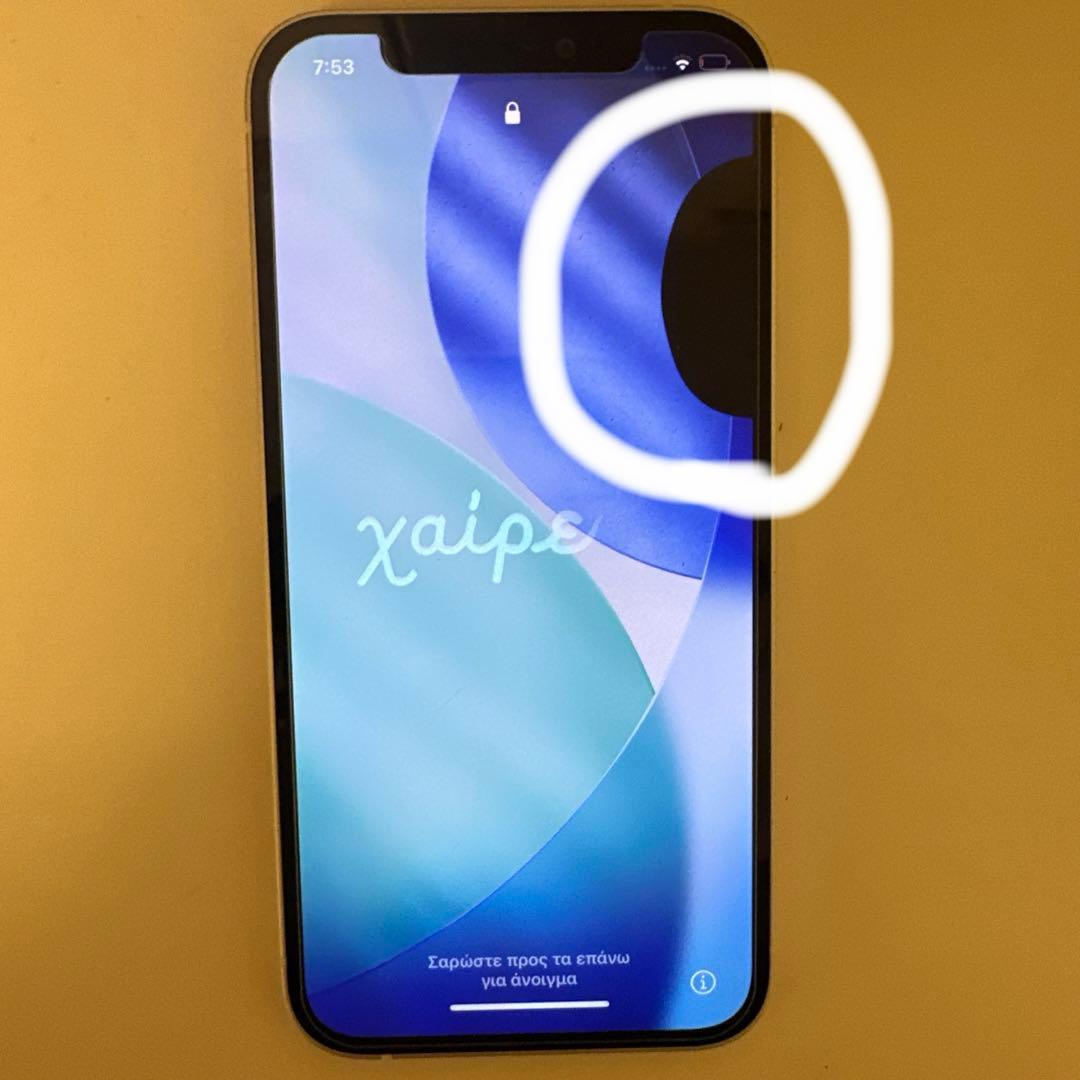 iPhone12 本体 (ジャンク品）