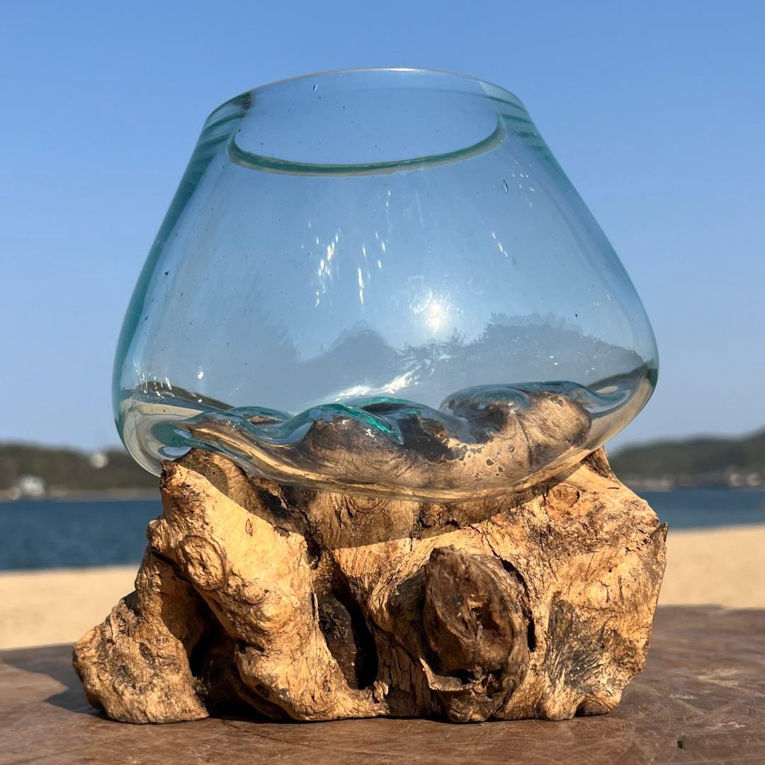 流木ガラス オブジェXSN バリ島 花瓶 金魚鉢 メダカ水槽 テラリウム アート