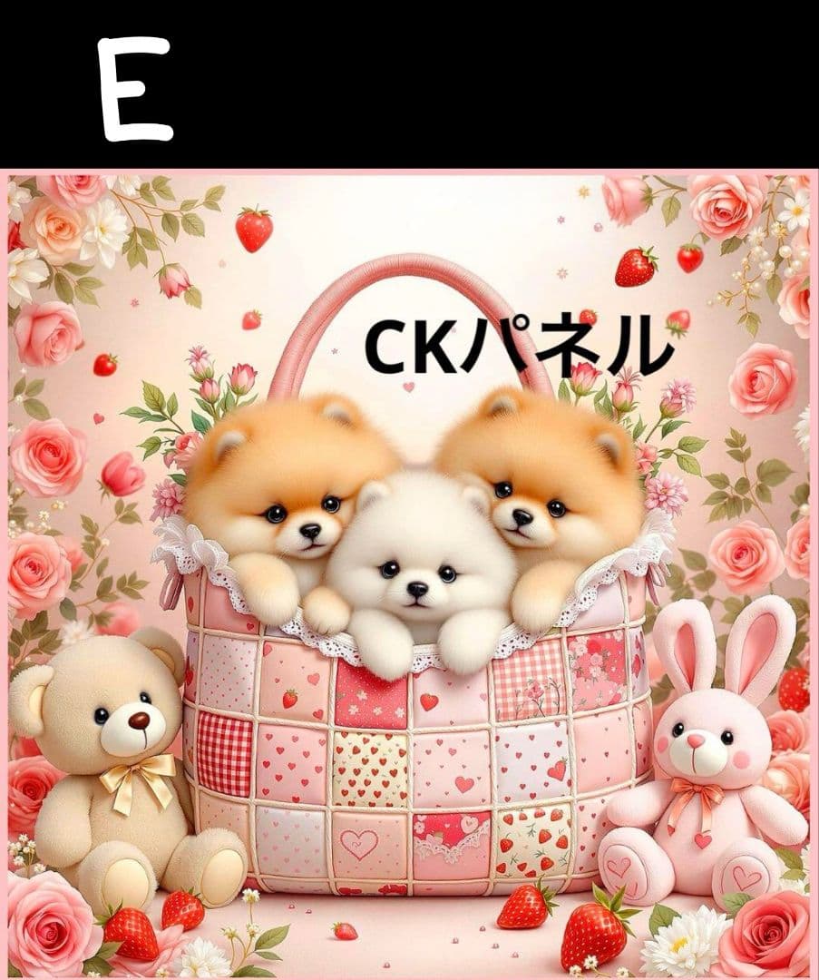 オーダー受付　ポメラニアン　3/24