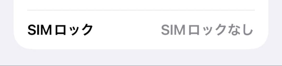 【SIMロック解除済】iPhone 11本体64GB パープル　eSIM設定済