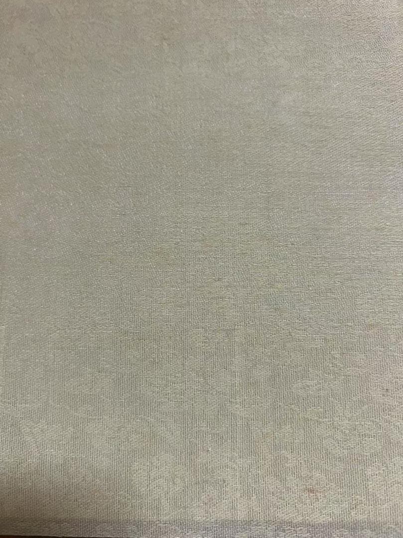 ＊訳あり商品＊真作　肉筆 中国工筆画　【雪景猛虎図】　掛軸　緻密精細(S-14)
